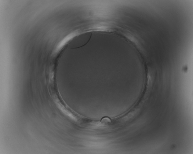 X0000112531450200909071346