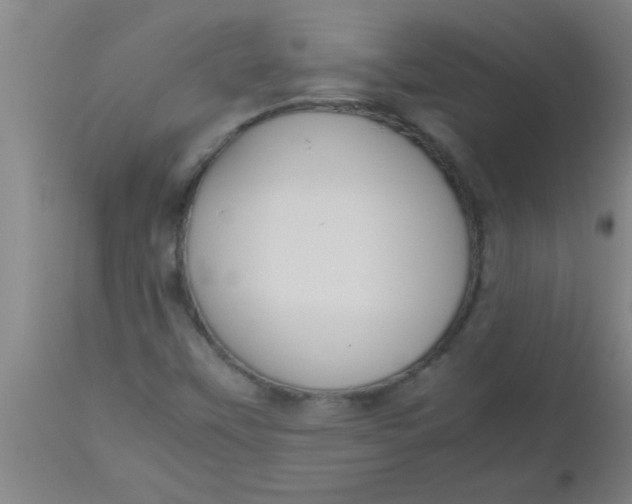 X0000112531451200909071346