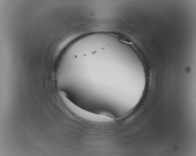 X0000112531453200909071346