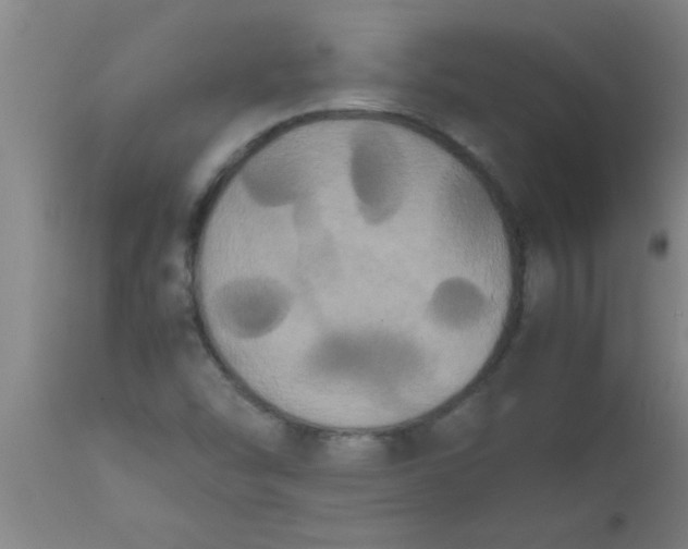 X0000112531454200909071346