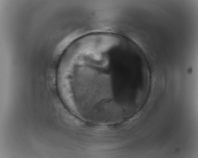 X0000112531455200909071346