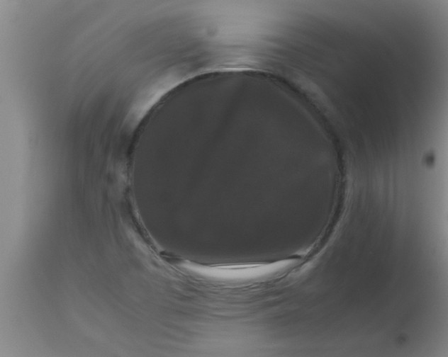 X0000112531457200909071346