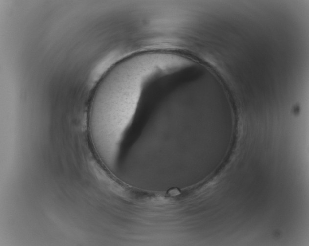 X0000112531459200909071346