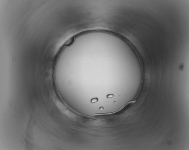 X0000112531460200909071346