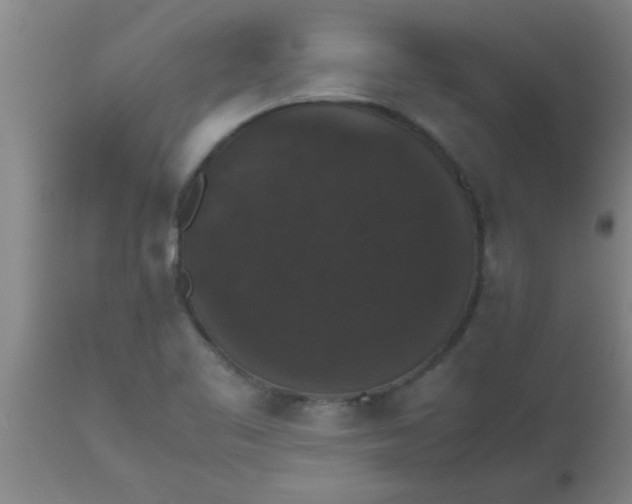 X0000112531461200909071346