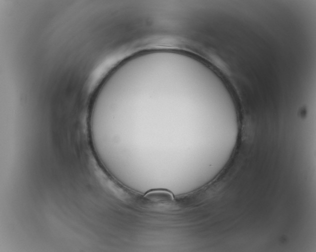 X0000112531464200909071346