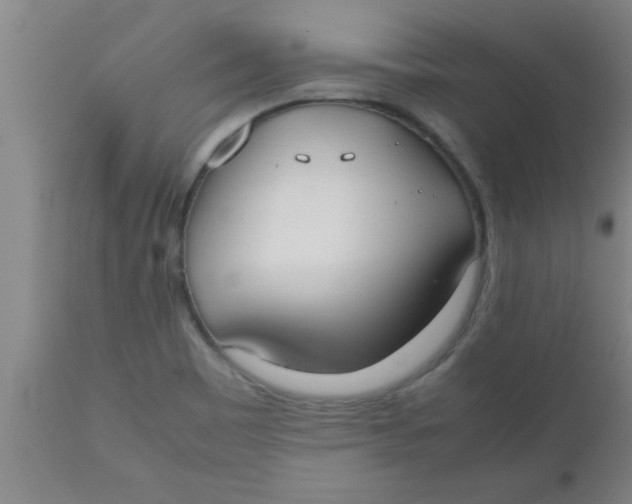 X0000112531465200909071346