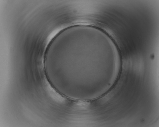 X0000112531466200909071346