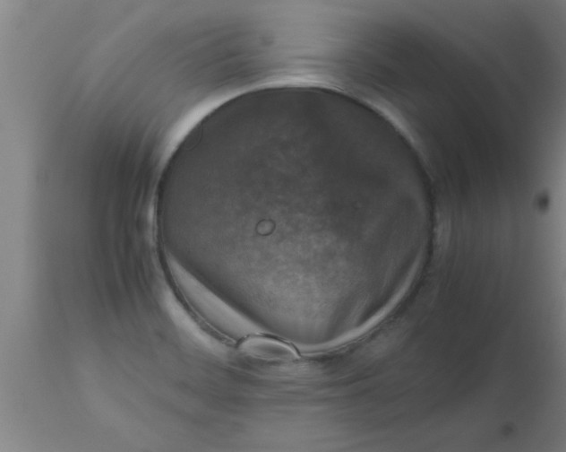 X0000112531468200909071346