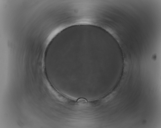 X0000112531469200909071346