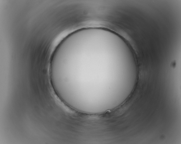 X0000112531472200909071346