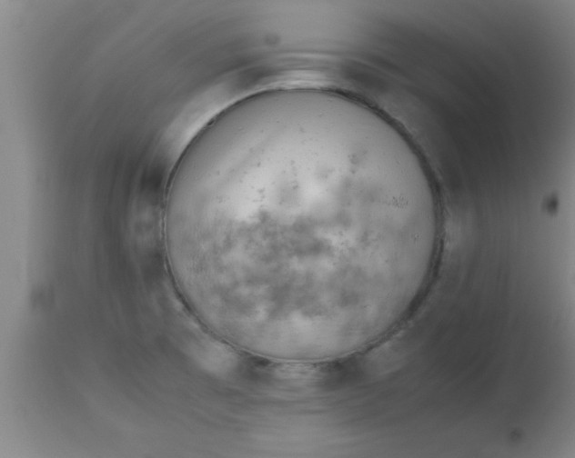 X0000112531473200909071346