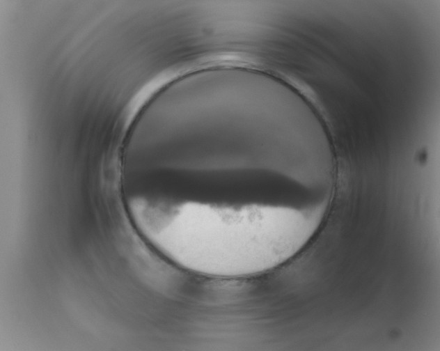 X0000112531474200909071346