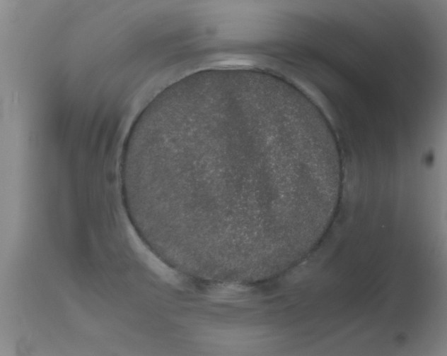 X0000112531475200909071346