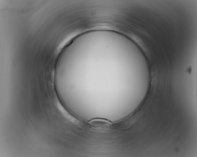 X0000112531476200909071346