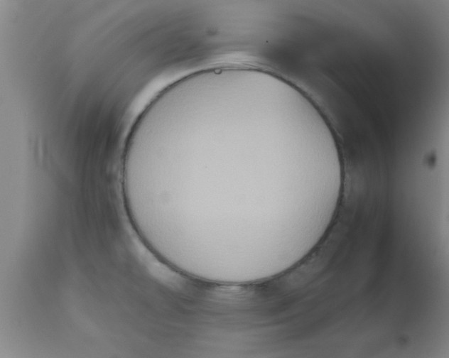 X0000112531478200909071346
