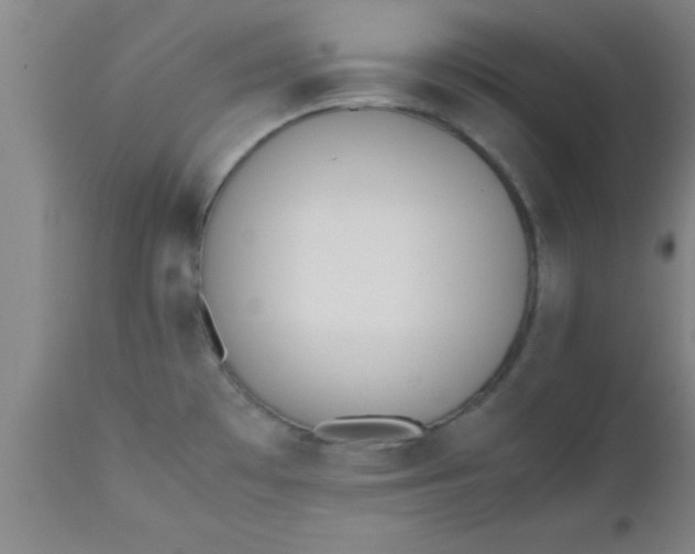 X0000112531481200909071346