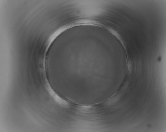 X0000112531482200909071346