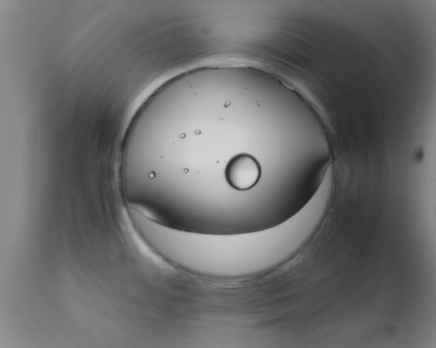 X0000112531484200909071346