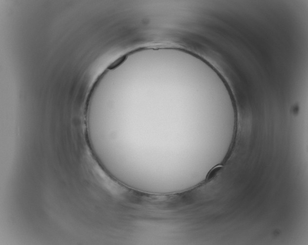 X0000112531485200909071346