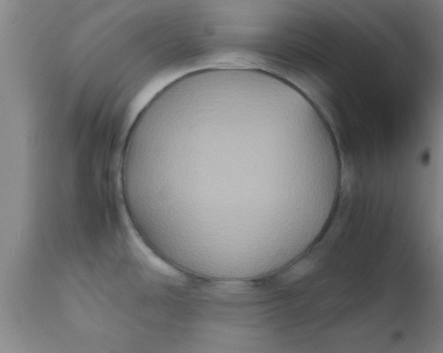 X0000112531486200909071346