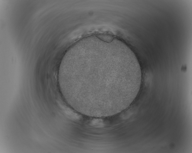 X0000112531489200909071345