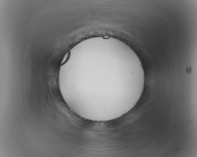 X0000112531490200909071345