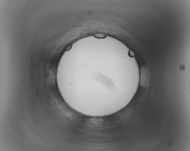 X0000112531491200909071345
