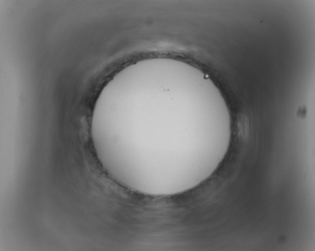 X0000112531493200909071345