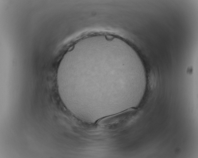 X0000112531494200909071345
