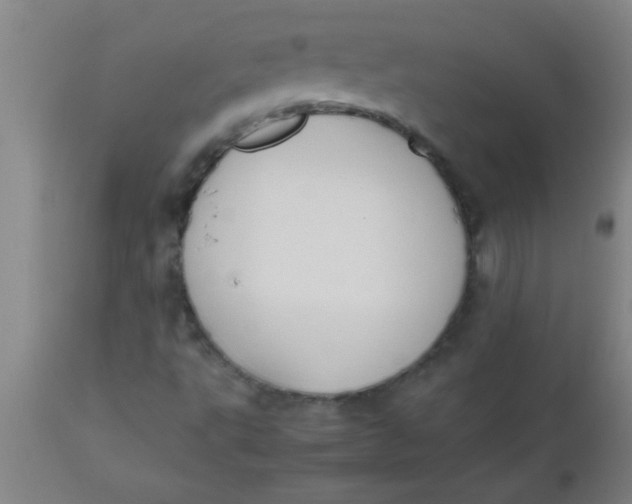 X0000112531495200909071345