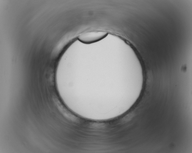 X0000112531499200909071345