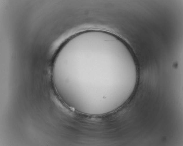 X0000112531503200909071345