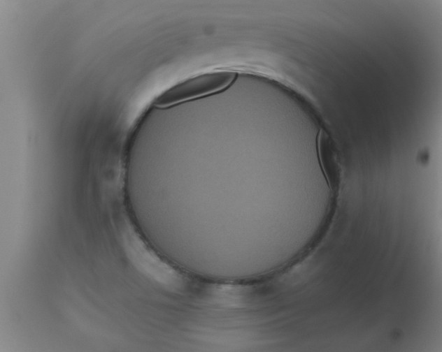 X0000112531506200909071345