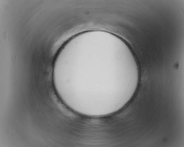 X0000112531507200909071345