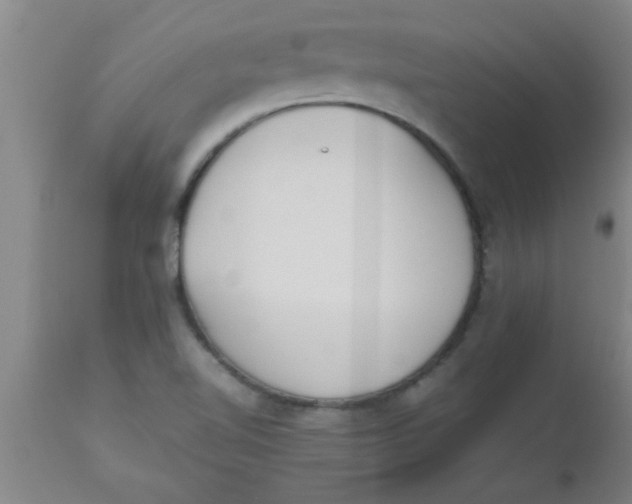 X0000112531510200909071345