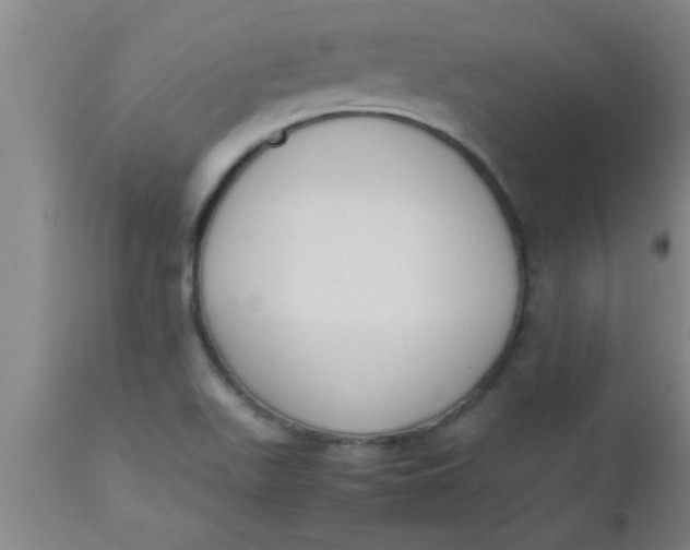 X0000112531511200909071345