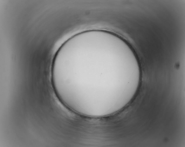X0000112531512200909071345