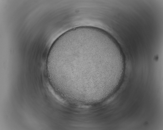 X0000112531513200909071345