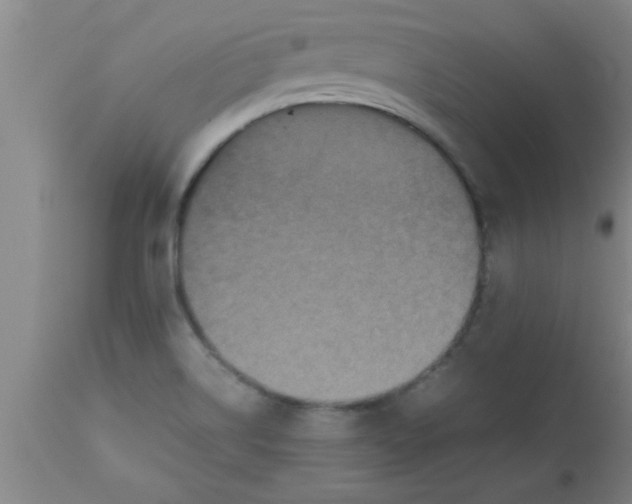 X0000112531514200909071345