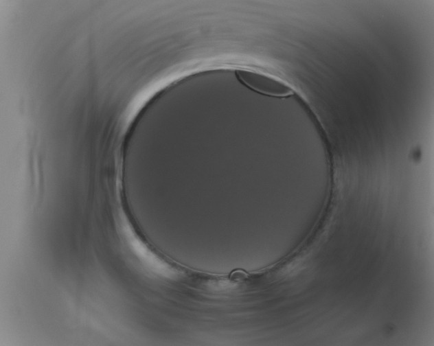 X0000112531515200909071345