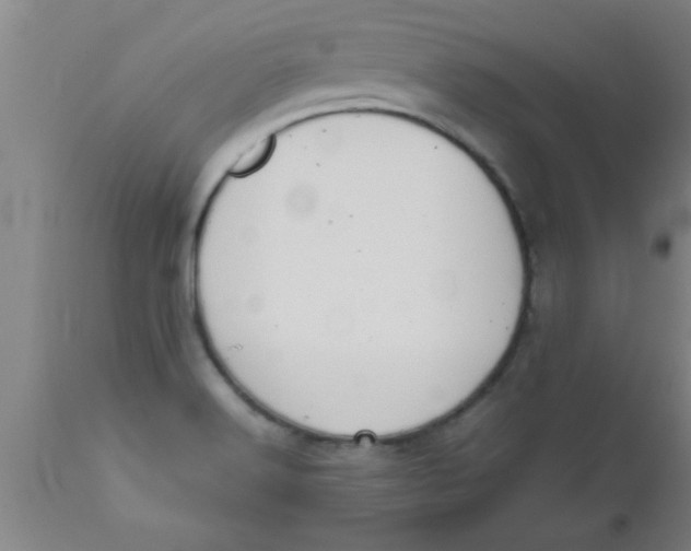 X0000112531516200909071345