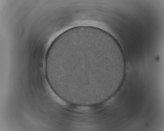 X0000112531517200909071345