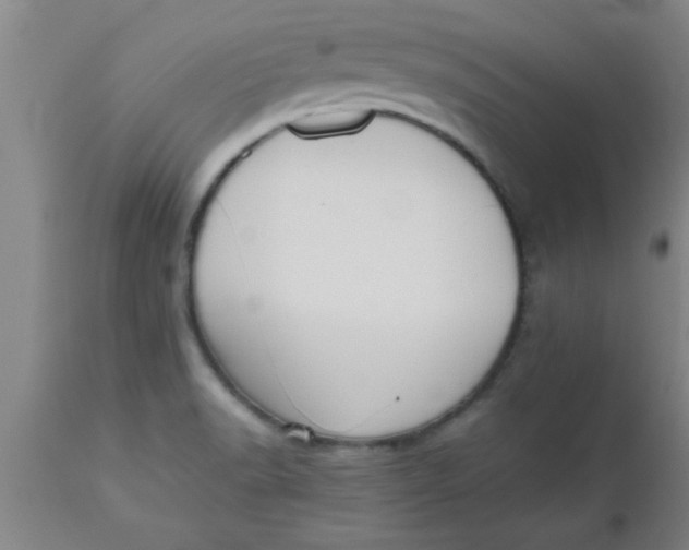 X0000112531518200909071345