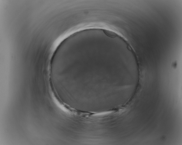 X0000112531519200909071345