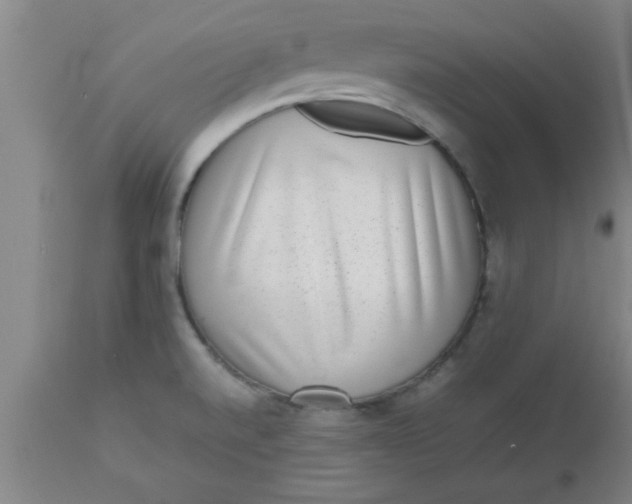X0000112531520200909071345