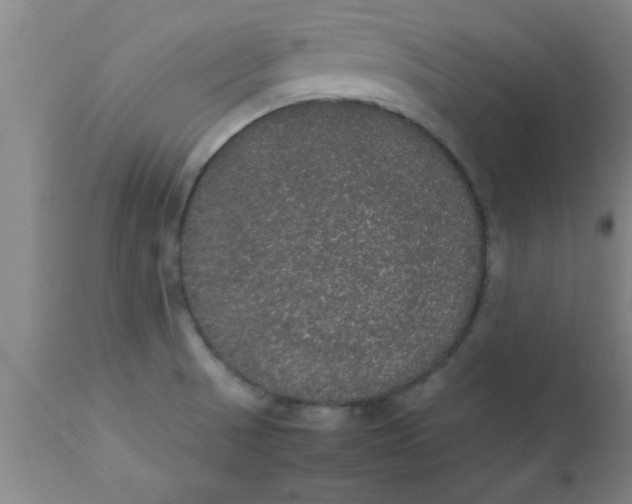 X0000112531521200909071346