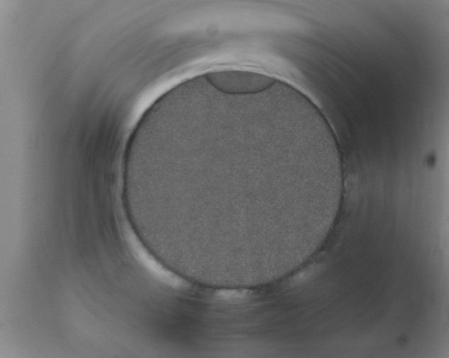 X0000112531523200909071346