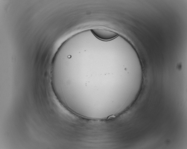 X0000112531526200909071346
