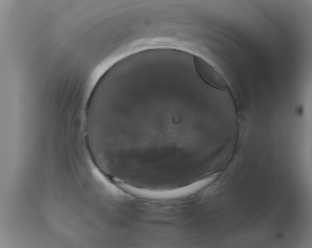 X0000112531527200909071346